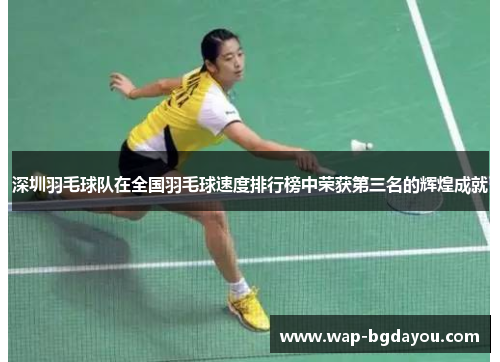 深圳羽毛球队在全国羽毛球速度排行榜中荣获第三名的辉煌成就